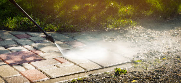 Best Animal Enclosure Cleaning  in Charlack, MO